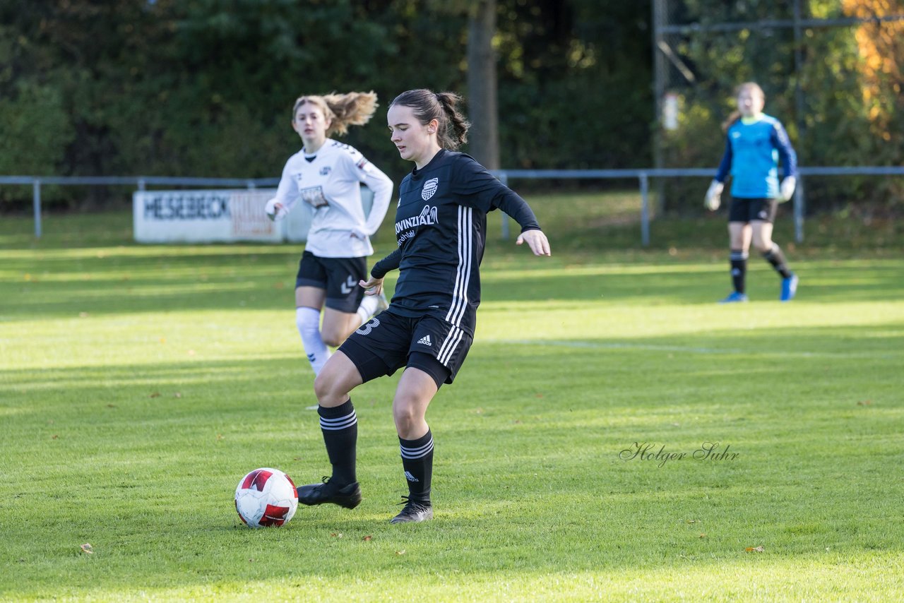 Bild 250 - F SV Henstedt Ulzburg2 - FSG Kaki-StuSie : Ergebnis: 2:2